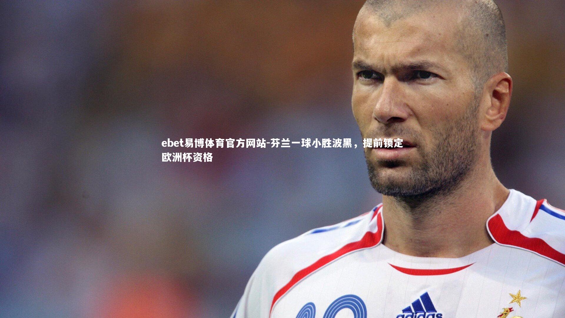 芬兰一球小胜波黑,提前锁定欧洲杯资格