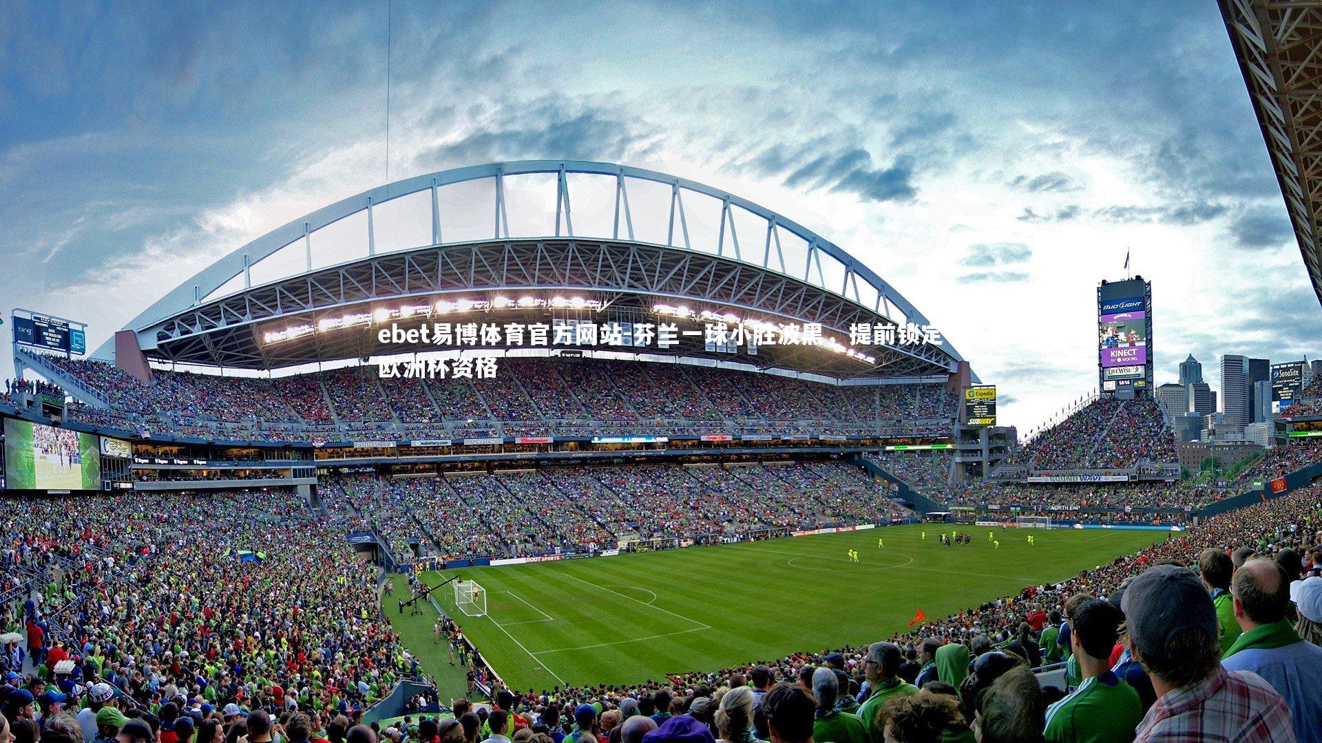 芬兰一球小胜波黑,提前锁定欧洲杯资格