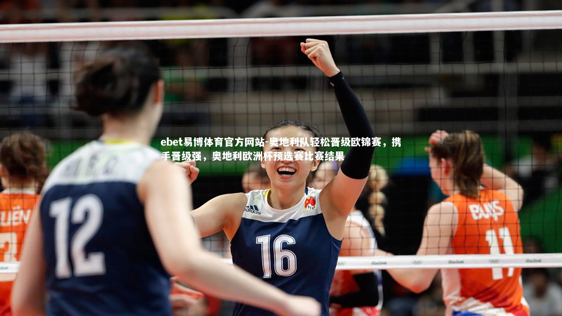 奥地利队轻松晋级欧锦赛,携手晋级强,奥地利欧洲杯预选赛比赛结果