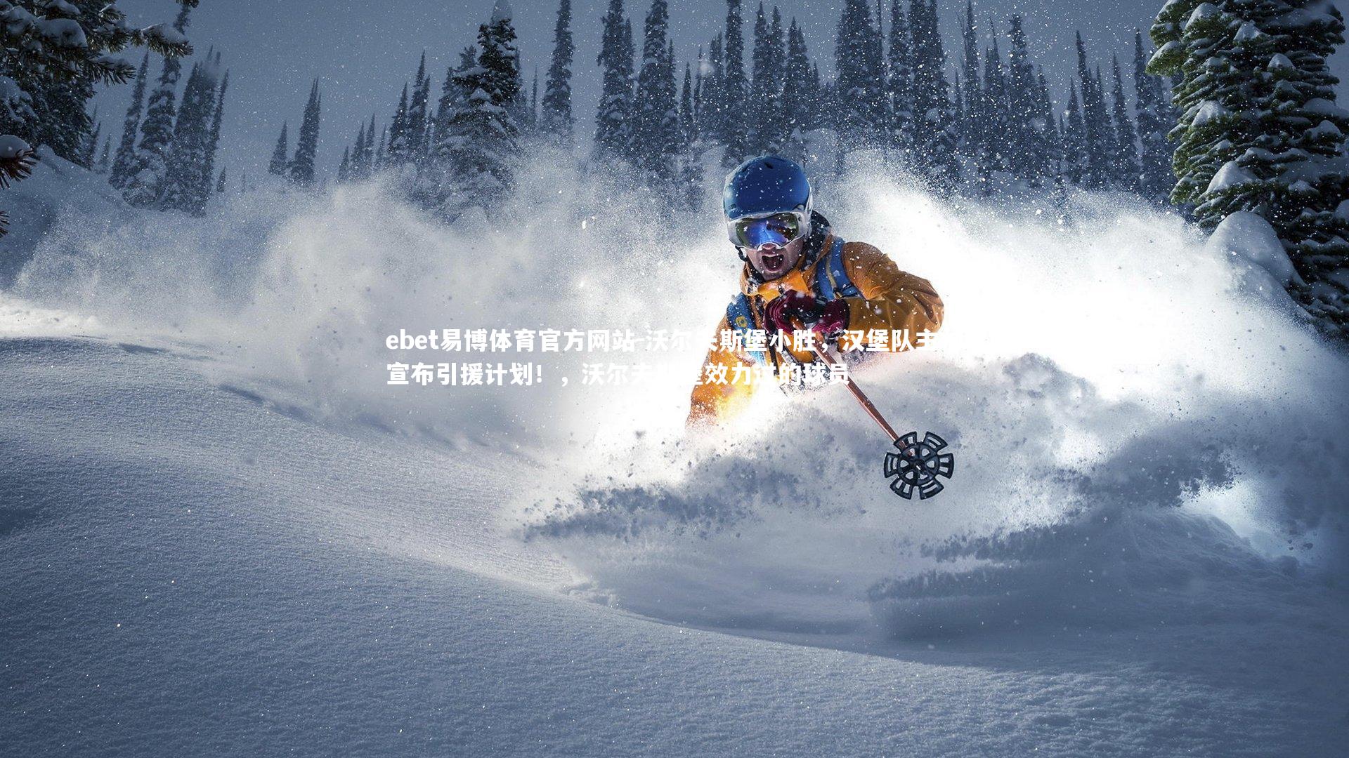 ebet易博体育官方网站-沃尔夫斯堡小胜，汉堡队主帅宣布引援计划！，沃尔夫斯堡效力过的球员