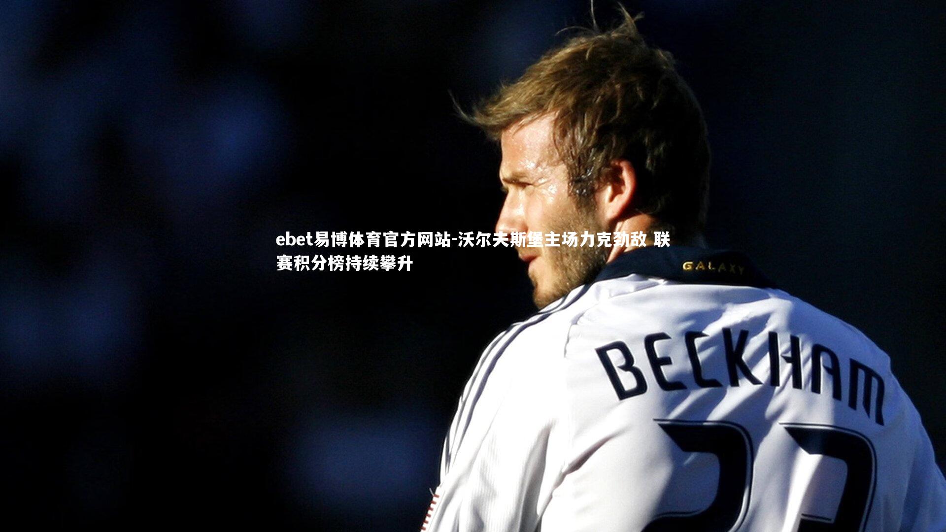 沃尔夫斯堡主场力克劲敌 联赛积分榜持续攀升